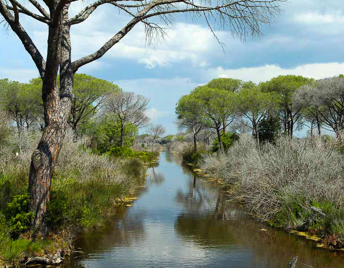 PARCO NATURALE DELL'UCCELLINA